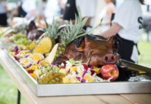 Hog Roast Information For Those Who’ve Never Had One Before Hog Roast