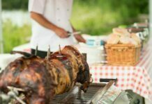 Is A Spitting Pig Suitable for your Small Wedding? Spitting Pig